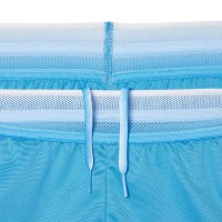 Lacoste Daniil Medvedev Blue White Shorts  Offer + Cheap